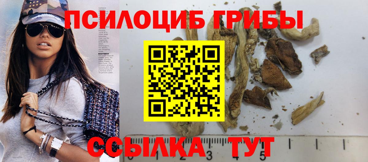 Галлюциногенные грибы Magic Shrooms Димитровград