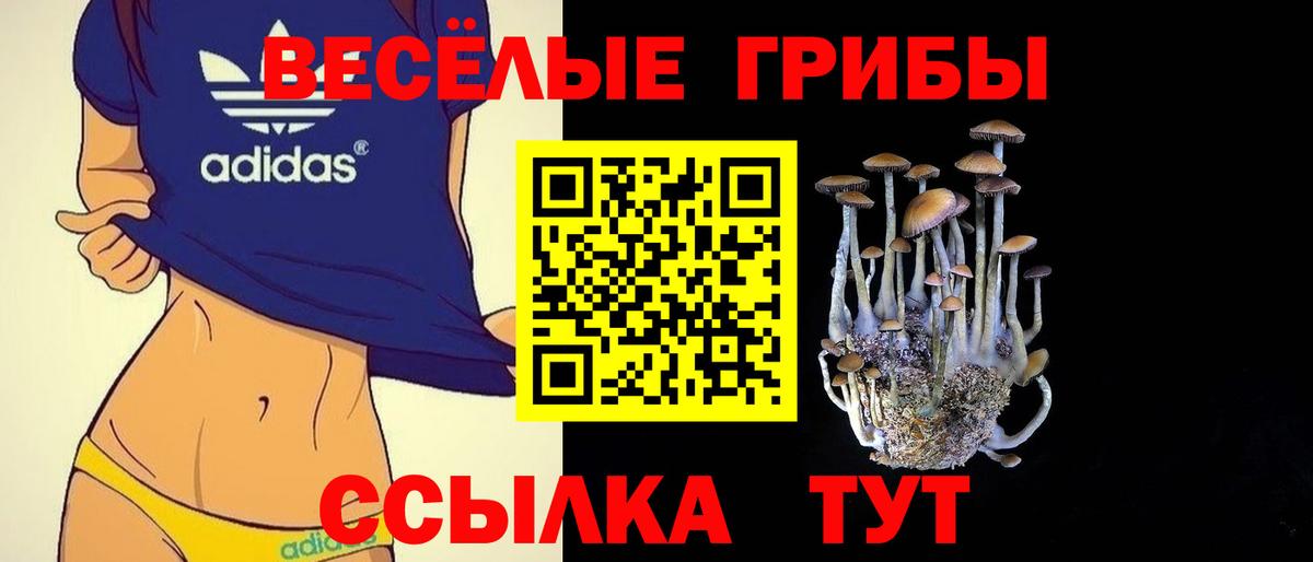 Cocaine  ГАШ  Кетамин  Димитровград  LSD-25  Меф  Конопля  Меф   Вход с VPN 