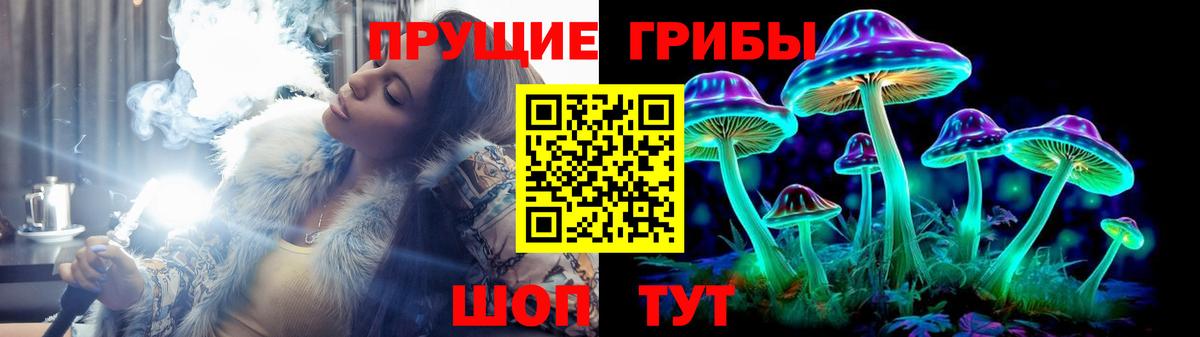 Псилоцибиновые грибы MAGIC MUSHROOMS  Вход с VPN  Димитровград 